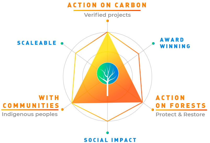 carbon-balanced-wild-alligned-process Carbon Balance API Hub explained