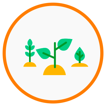 icons-tree-species