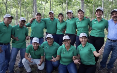 CommuniTree plant 10 millionth tree and celebrate major impacts in their 10th year