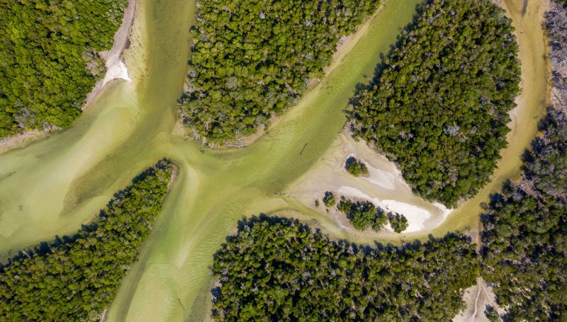 ariel-view