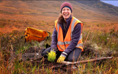 Wild Aligned.  Engagement in reforestation & regenerative culture to the next level