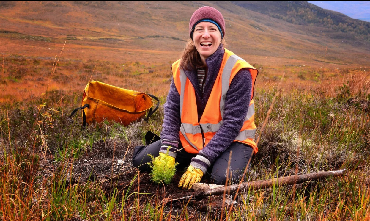 Woman planting seedlings in the Caledonian forests in the Scottish Highlands