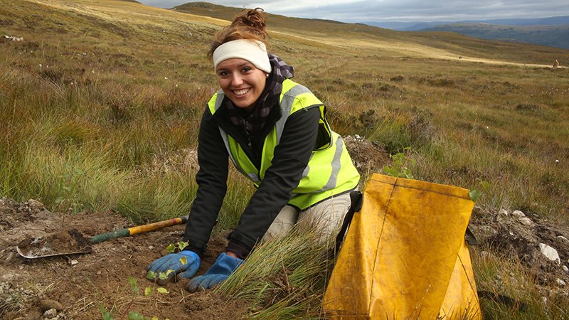 Volunteer planting at Dundreggan © Trees for Life