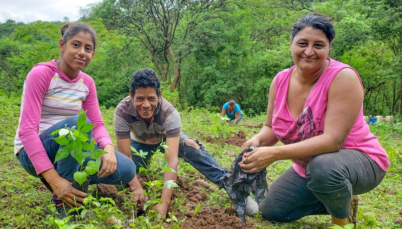 communitree project-planting-3