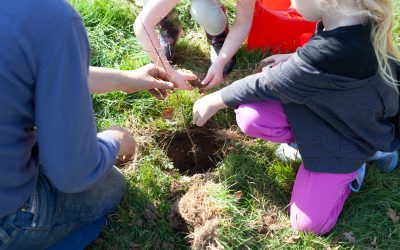 WILD ALIGNED – A BIODIVERSITY & REWILDING PROGRAMME