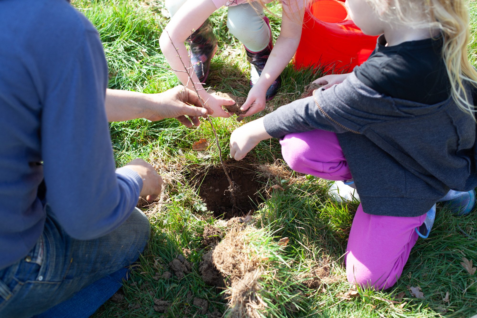 Tree planting with Children at a Children's Forest Site.