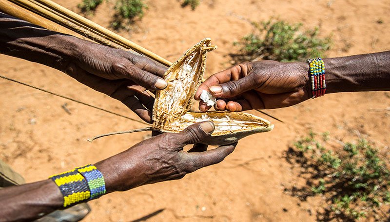 Hadza Hunter Gatherers_Fruit_CLevel