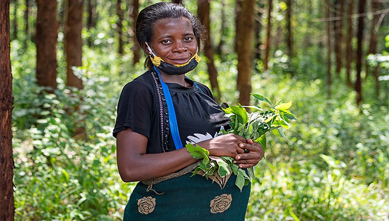 Trees For Global Benefits_CLevel_6