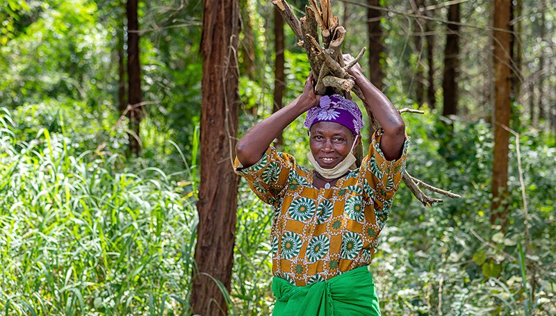 Trees for Global Benefits_CLevel_4